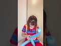 【ちいかわ】バルーンでハチワレ🎈#shorts