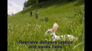 Come Little Rabbit by Akmal Shaikh, mentally ill Briton facing death in China