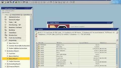 SAP Business One Product Demo - Custom Reports