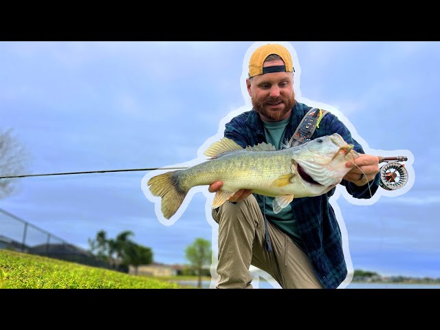 shimano curado 150hg Shimano Curado 150 DC Casting Reel