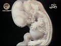 اغنية باحس بوجودك هاني شاكر كلمات سمير الطائر الحان هاني شاكر حصري اغنية باحس بوجودك هاني شاكر كلمات سمير الطائر الحان هاني شاكر حصري