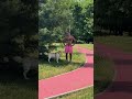 СОБАЧЬИ тусовки….