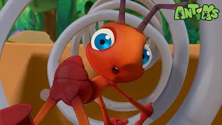 Spring Fever | Antiks 🐜 | Funny Cartoons for Kids