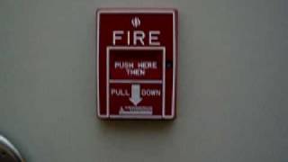 Pulling the fire alarm for a fire drill at Potomac Hall