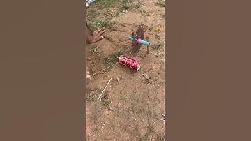 creative diy bird trap using Bottle Coca Cola #shorts