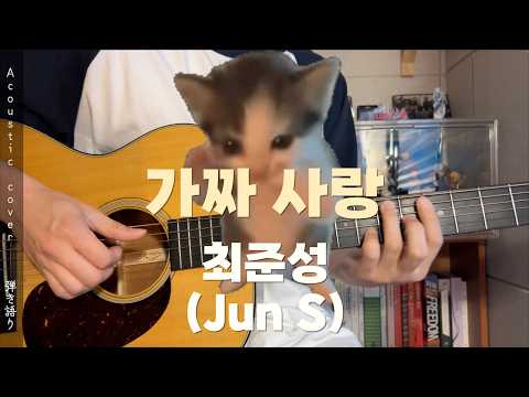 가짜사랑(ガッチャ・サラン) _ 최준성(Jun S) [弾き語り] acoustic cover