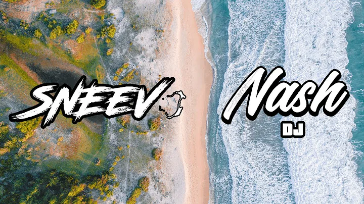 DJ NASH ft DJ SNEEV x SELENA GOMEZ - FEEL ME (ZOUK...
