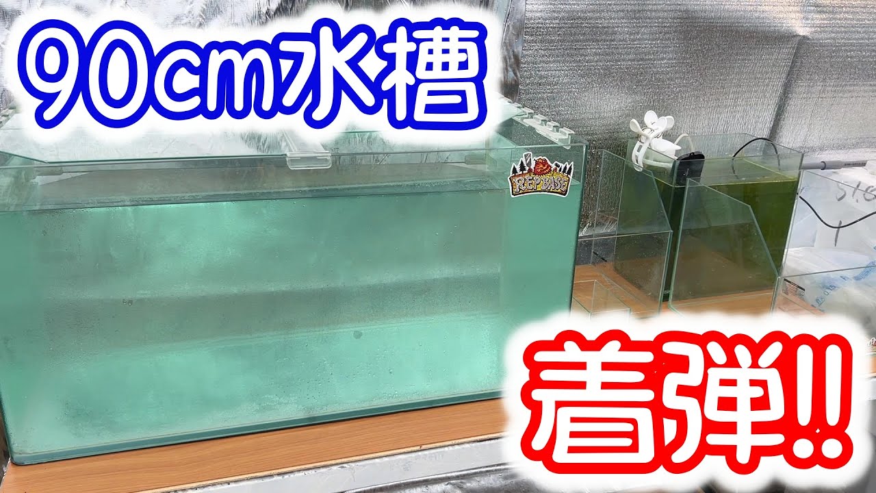 Medaka] An aquarium arrived at Katasumi Farm from REPBASE. B-type