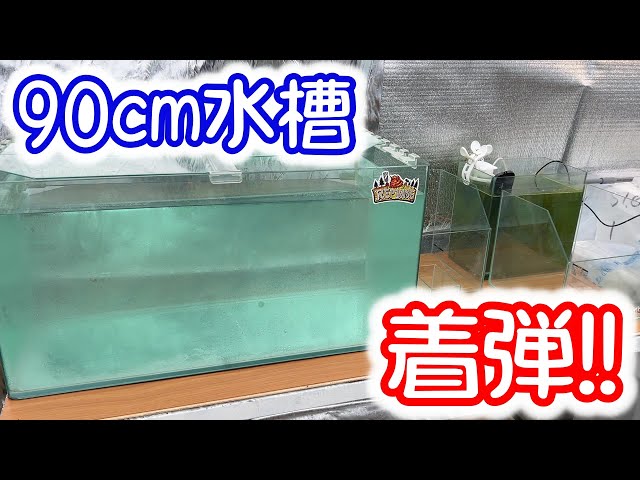 Medaka] An aquarium arrived at Katasumi Farm from REPBASE. B-type