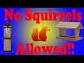 Squirrel Proof Your Bird Feeder