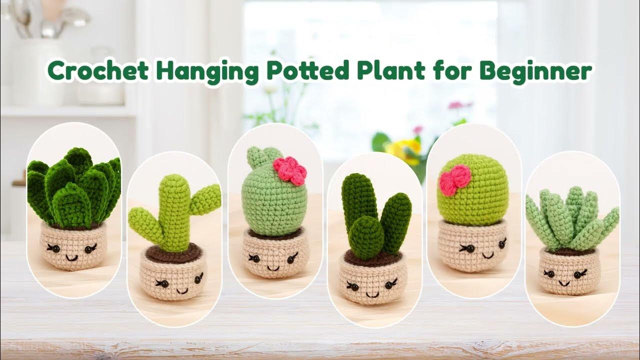 Karsspor Crochet Kit for Beginners Adults - 6 PCS Succulents