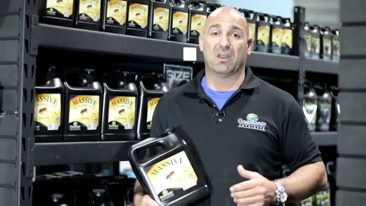 Massive by Green Planet