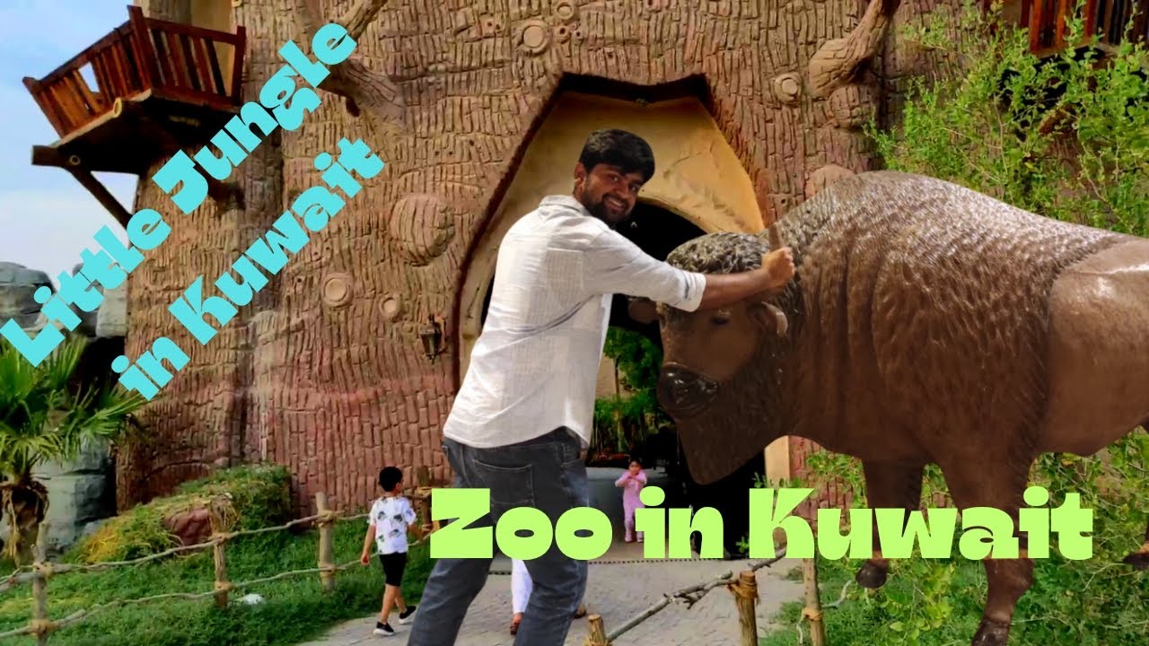 zoo in Kuwait Little Jungle in Kuwait YouTube
