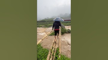Ngeri Banget‼️Hujan Deras Air Sungai Banjir Warga Jalan Diatas Jembatan Bambu #shorts #hujan #banjir