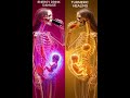 Turmeric vs Energy Drinks During Pregnancy – The Inside View