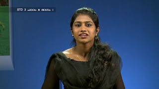 MANE NOBISCUM | Std 3 | Lesson 8 | Module 1 | SUNDAY CATECHISM