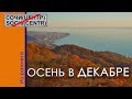 Осень в декабре