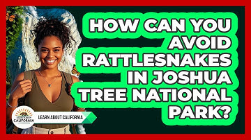 How Can You Avoid Rattlesnakes In Joshua Tree National Park? - Learn About California