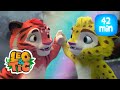 Leo & Tig - O mais precioso e mais episódios completos  | Desenho infantil 🐯🦁