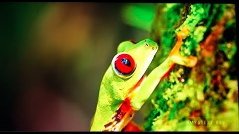 2017 Samsung Tizen Smart TV Review - 4K HDR TV MU6300 - Tizen is Terrible - Netcruzer TECH