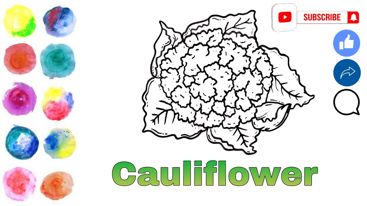How to Draw Cauliflower Easy & Simple Drawing of Cauliflower For