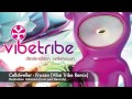 Miniature de la vidéo de la chanson Frozen (Vibe Tribe Remix)