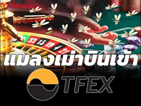 "รู้จักอนุพันธ์ในตลาด TFEX"