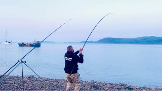 Big Fish On! Sea Fishing in Anglesey, North Wales - TOP SESSION!