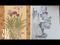 How to make a botanical drawing: composition and simplified shapes | Drop-in Drawing