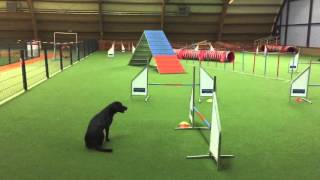 Agilityseminar Dezember