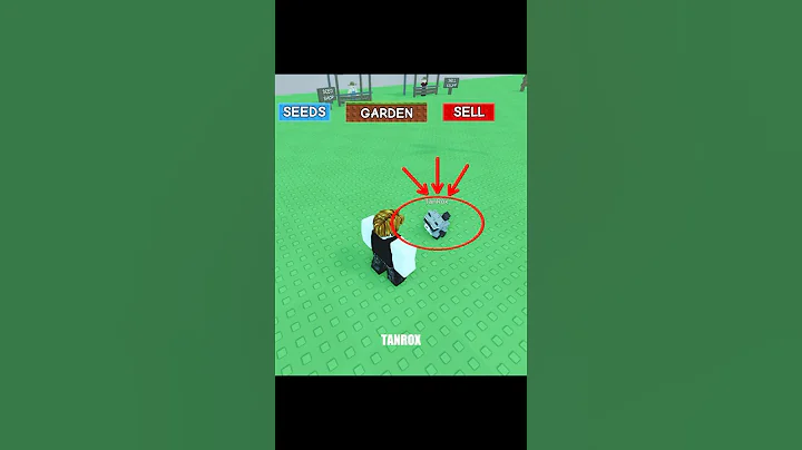 The smartest raccoon in grow a garden #roblox #growagarden