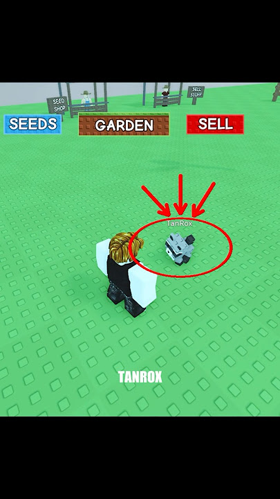 The smartest raccoon in grow a garden #roblox #growagarden