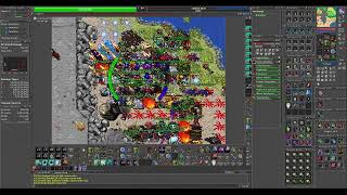 Tibia War Quintera- Beton Vitality 707 EK Issavi