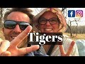 Tiger Safari Ranthambore | Ranthambore National Park | Royal Bengal Tiger