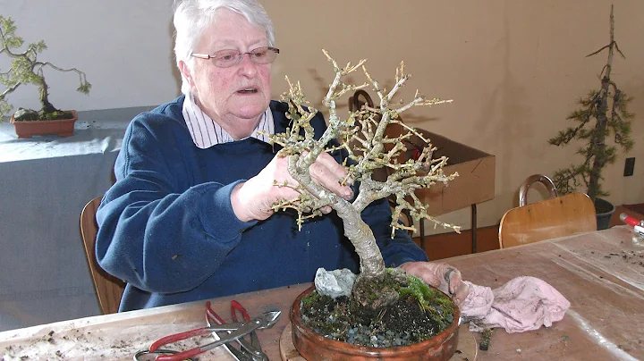 Joy Morton from Dunedin ran a weekend bonsai works...