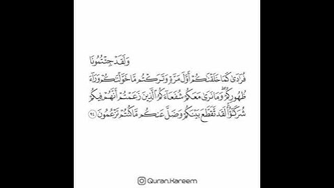 القارئ سعد الغامدي - سورة الأنعام - الآية 94