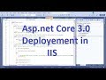 Deploy Asp.net Core 3.0 application on IIS