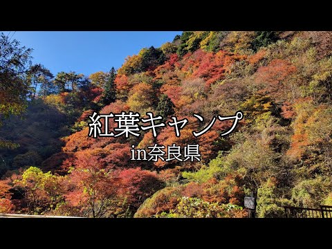 11月初旬の3連休は奈良県でキャンプしながら紅葉狩り♪