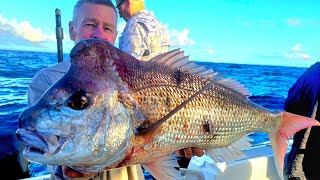 Big Snapper, difficult gaff shot. Great fishing on Rainbow Escape Charters  screenshot 4