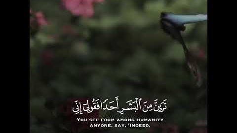 {فَنَادَاها مِن تَحْتِها ألَّا تَحزَني} || سورة مريم