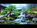 Music Therapy 🌿Soothes The Nervous System And Refreshes The Soul, Relaxing