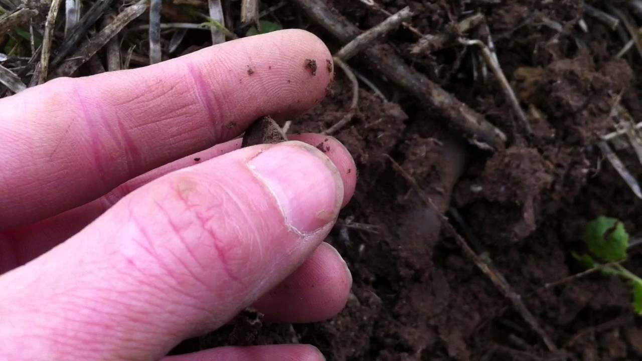 Metal Detecting Liverpool UK75, XP Deus finds gold & hammered silver