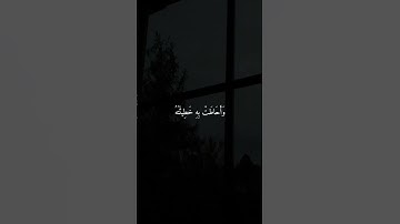ماهر المعيقلي تلاوة خاشعة جدا || آيات قصيرة ارح سمعك ♡♡