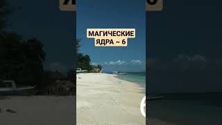 МАГИЧЕСКИЕ ЯДРА 6 #shorts