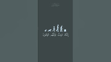سورة الزمر - ياسر الدوسري - إنك ميت وإنهم ميتون