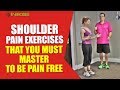Shoulder Pain Exercises That You MUST Master To Be Pain Free