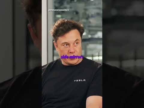 Elon Musk Should Cars have Mirrors?