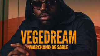 Video thumbnail of "Vegedream - La fuite ( Feat. Dj Leska )"