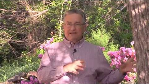 Mastering Fear and Aggression in the Moment of Uncertainty