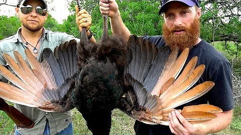 Is it legal to eat a peacock?